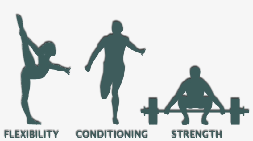 Flexibility, Conditioning And Strength - Flexibility & Conditioning, transparent png #2990438