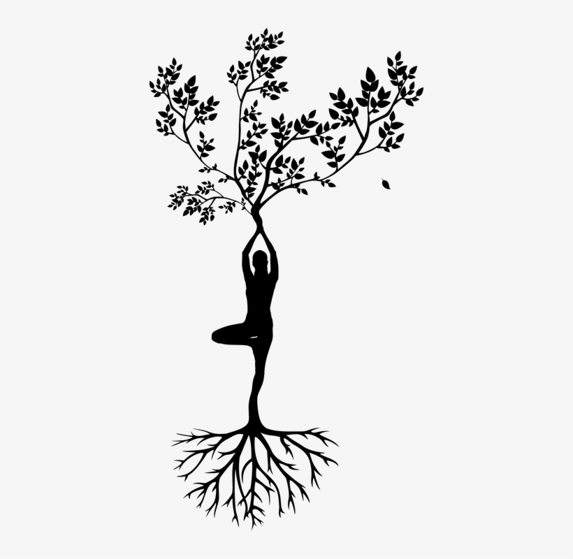 Silhouette, Women, Tree, Yoga, Meditation, Harmony - 5 Stickers Combo Deal Om Yoga Harmony Meditating Namaste, transparent png #2991916