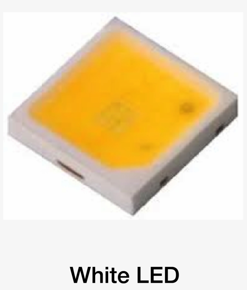 Six Degrees Of The Nobel Prize In Physics - Flower, transparent png #2995111