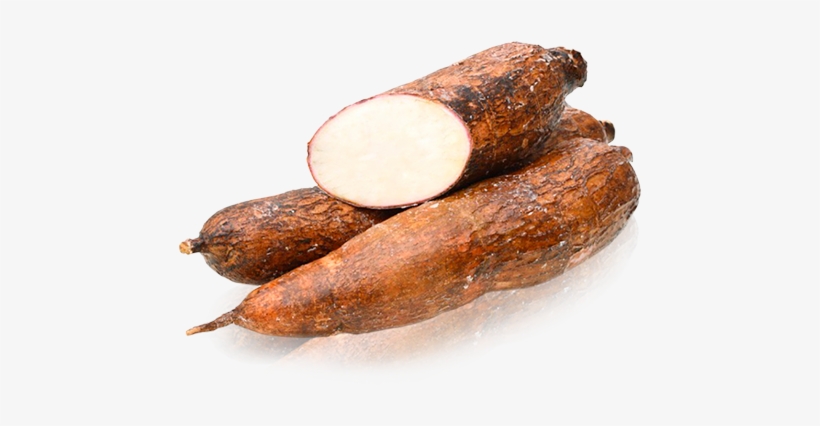 Yuca - Imagen De Una Yuca, transparent png #2995305