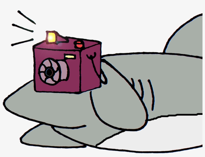 Shark With Camera Cartoon, transparent png #2999049