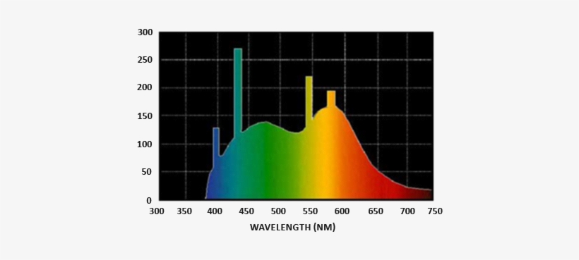 Spectral Distribution Of Daylight - Light Bulb Spectrum, transparent png #2999534