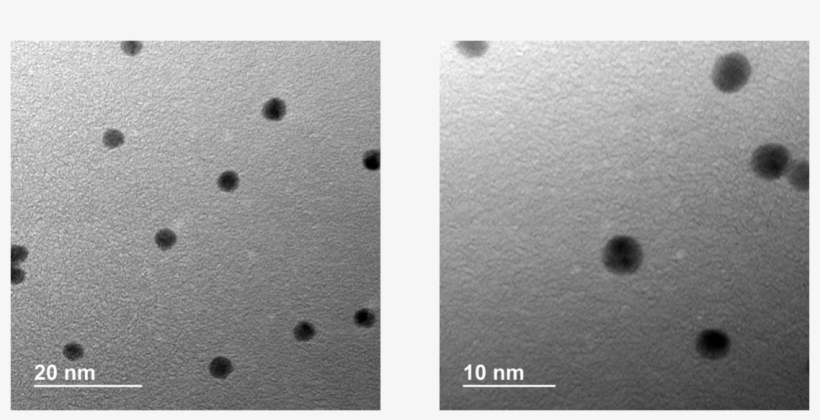 Au Np - Monochrome, transparent png #2999657