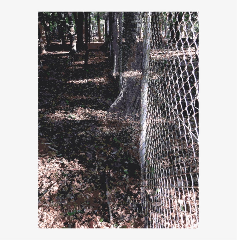 Lichtscheid Forest Tree Fence Sculpture, transparent png #30130