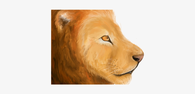 Masai Lion, transparent png #30248