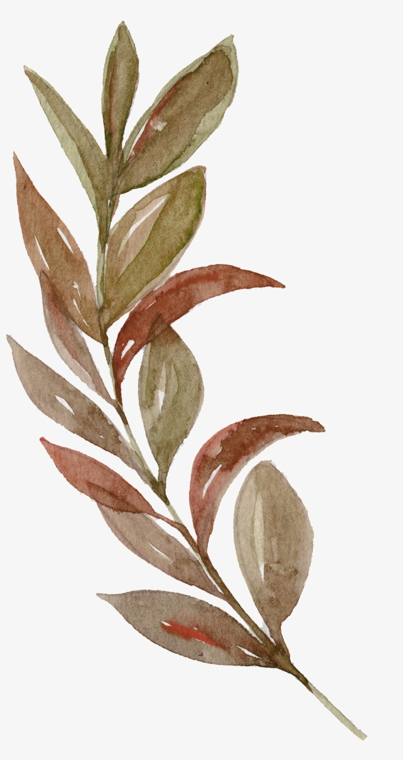 Watercolor Branches Leaves Free Illustration - Rustikaler Erntedank Verlässt Stoff-servietten Serviette, transparent png #30512