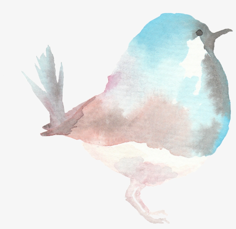 Spring Watercolor Birds - Seabird, transparent png #31472