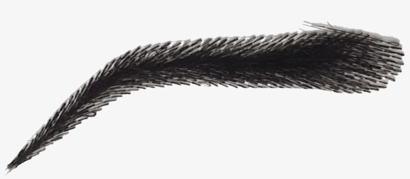 Kimk False Eyebrow - Grass, transparent png #31495