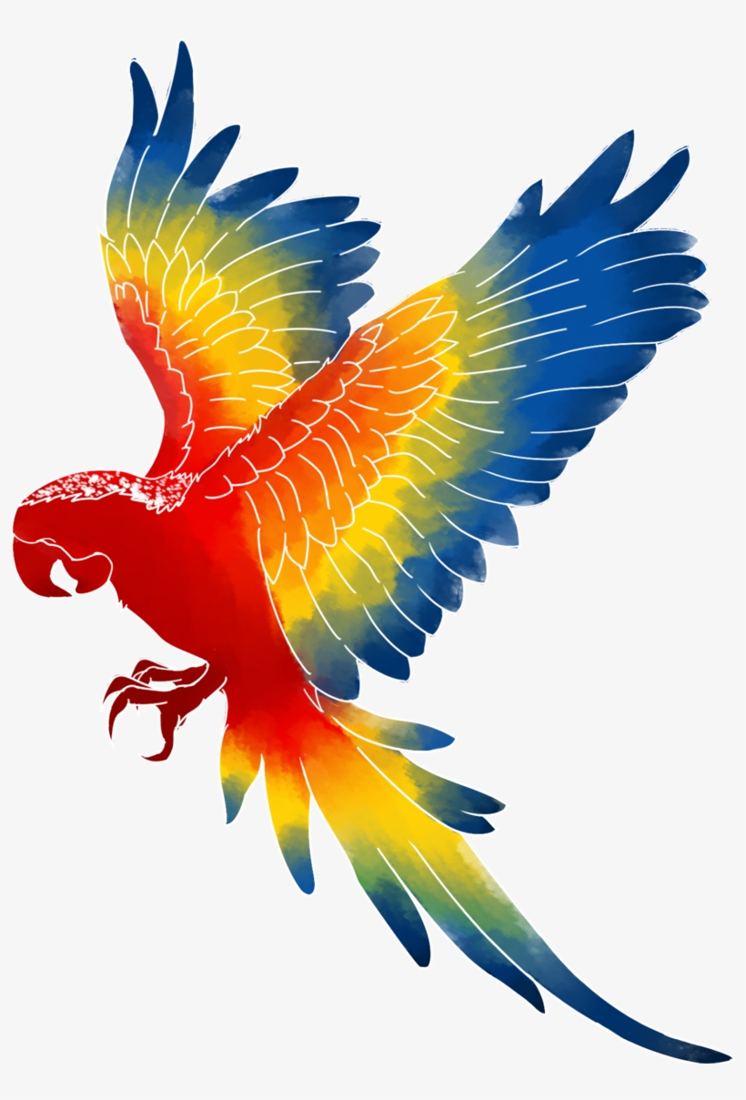 Macaw Png Transparent Images - Brazil Macaw Png, transparent png #31708