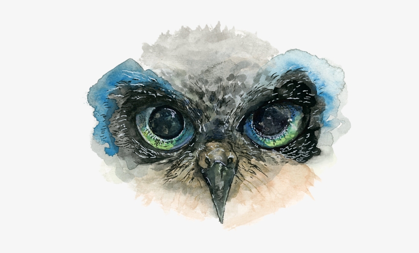 Owl Eyes Png Png Library - Owl Eyes Drawing Png, transparent png #31934