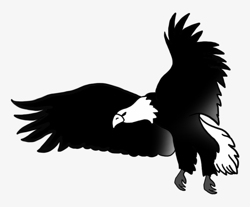 Black White Drawing Flying Bald Eagle - Eagle Black And White Flying, transparent png #31935