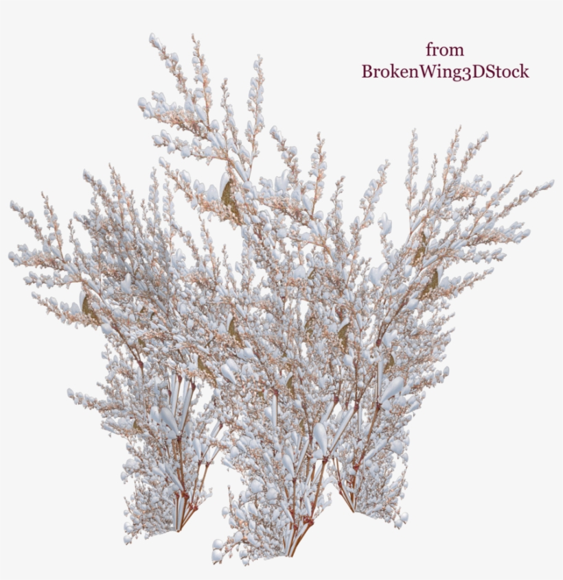 The Snow On The Tree, transparent png #31936