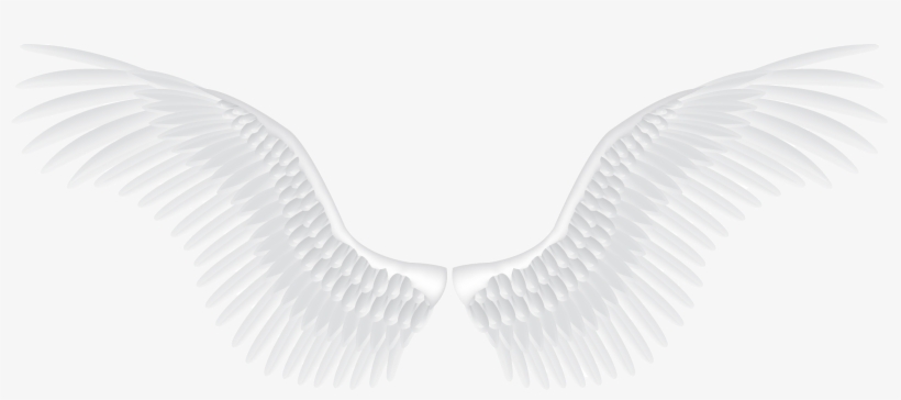 White Angel Wings Png, transparent png #32000