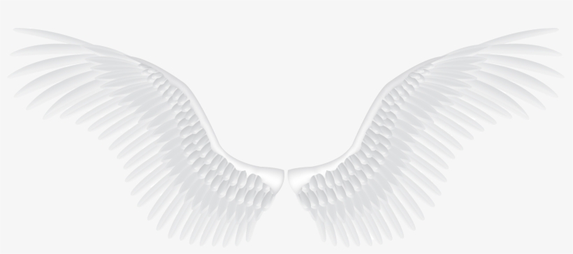 White Angel Wings Png, transparent png #32000