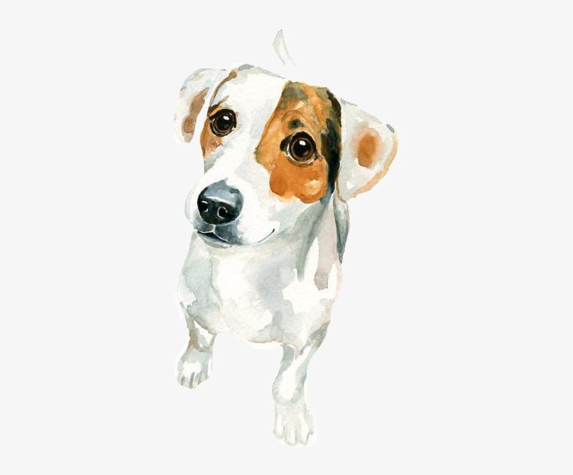 Jack Russell Terrier Watercolor Painting Art - Watercolor Painting Jack Russell, transparent png #32269