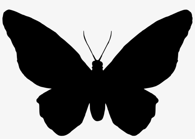 Download Png Papillon Pictogramme Free Transparent Png Download Pngkey Download Png Papillon Pictogramme Free Transparent Png Download Pngkey