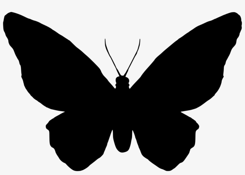 Download Png - Papillon Pictogramme, transparent png #32286