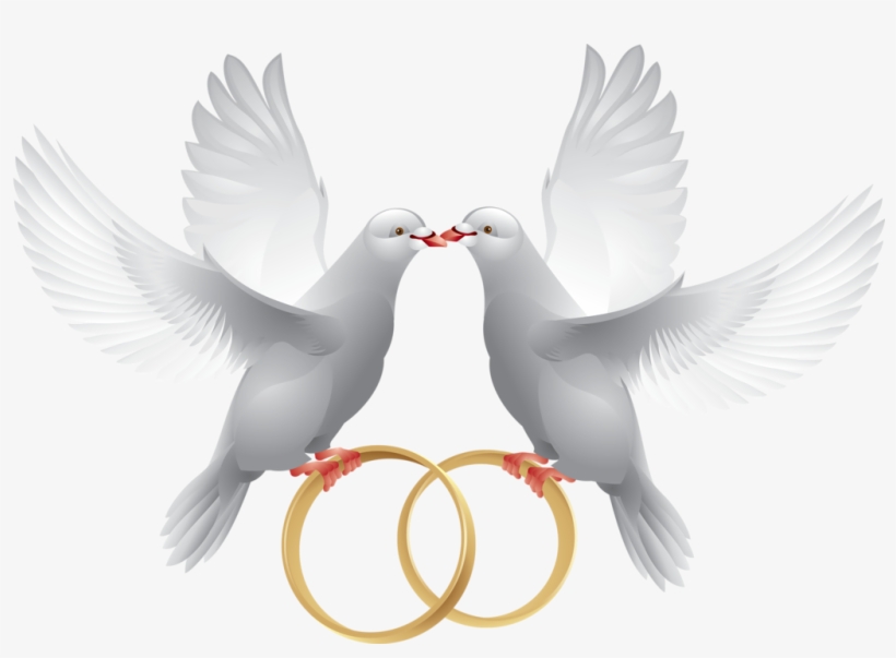 Marriage Clipart Dove - Wedding Ring With Dove, transparent png #32288