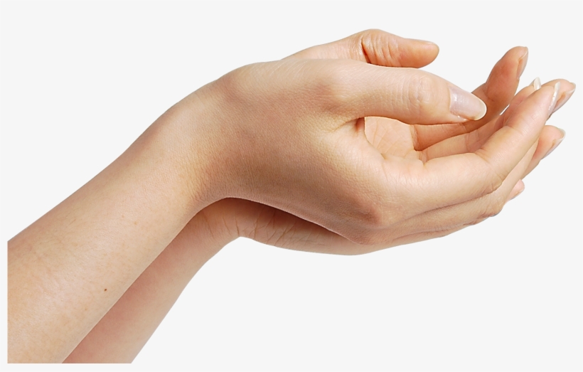 Hand Images Hd Png, transparent png #32682