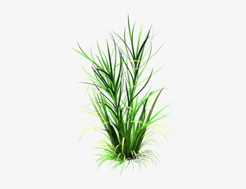 Png Grass Clipart Transparent Image - Grass Leaf Texture Png, transparent png #33256