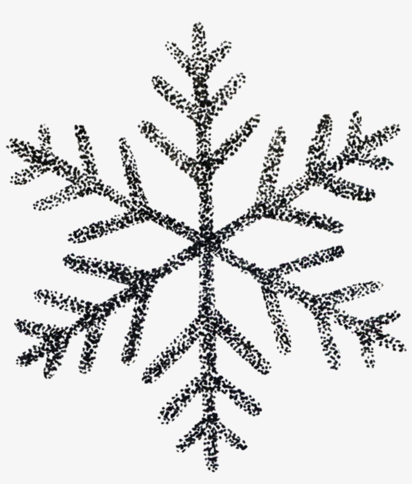 Snowflake - Snowflake - Snowflake - Snowflake Page Divider, transparent png #33385