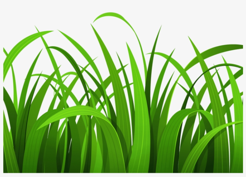 Grass And Flowers Clip Art