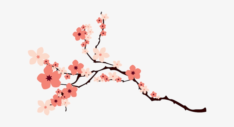 Cherry Blossom Png Transparent Image - Cherry Blossom Vector Png, transparent png #34049