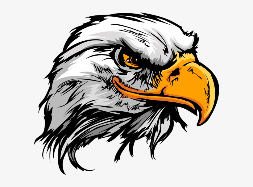 Head Eagle Png, transparent png #34072