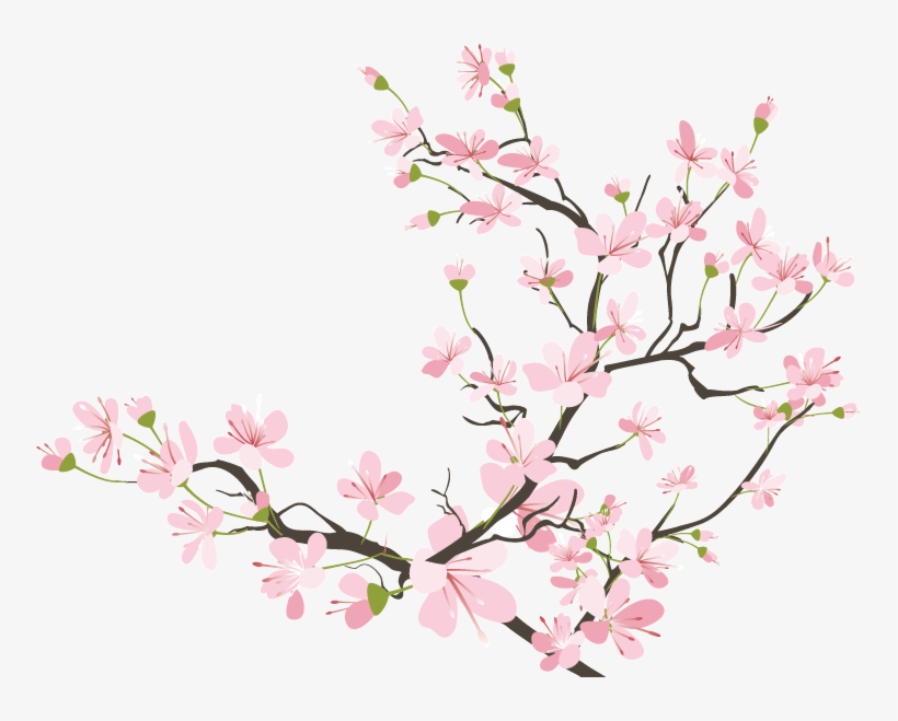 Twig Drawing Cherry Blossom Picture Royalty Free Library - Cherry Blossom Transparent Background, transparent png #34140