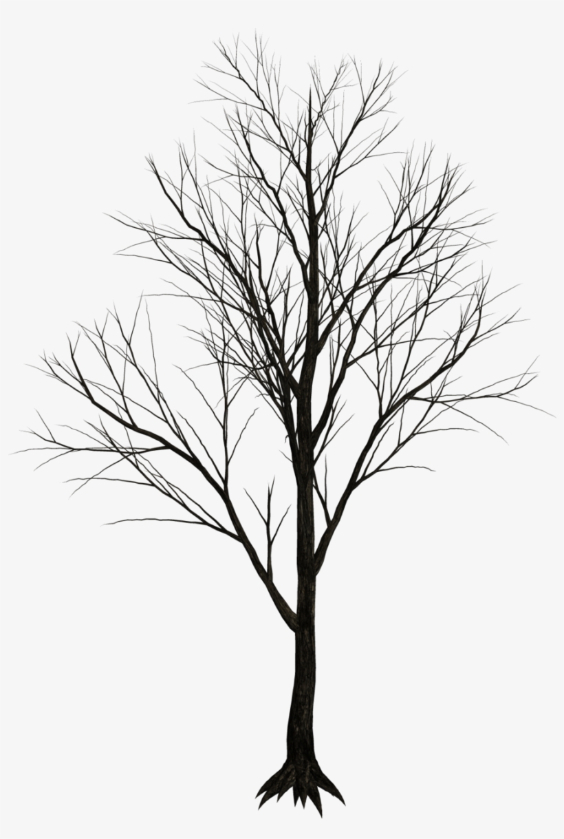 Dark Trees Png Stock 07 Dby Jumpfer Stock-d6vut39 - Dark Trees Png, transparent png #34165