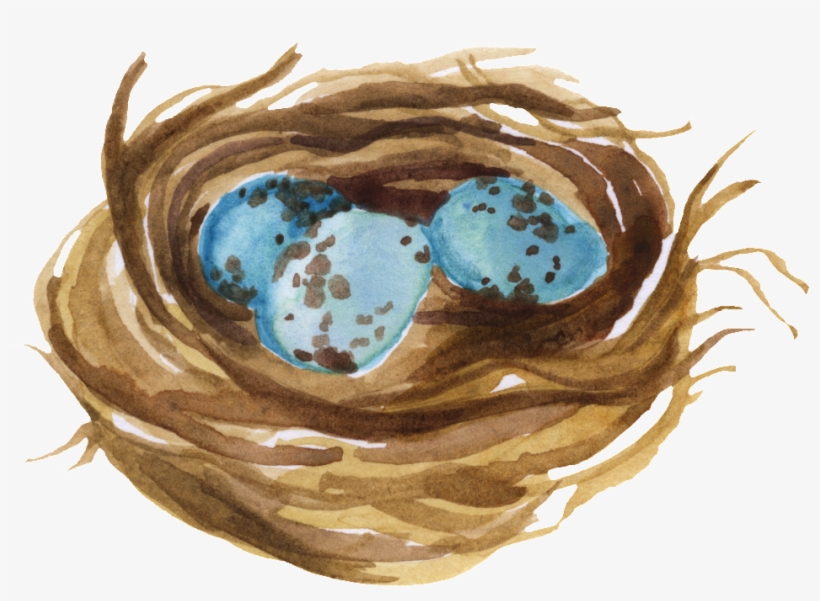 This Graphics Is Bird S Nest Water Tank Transparent - Nest, transparent png #34256