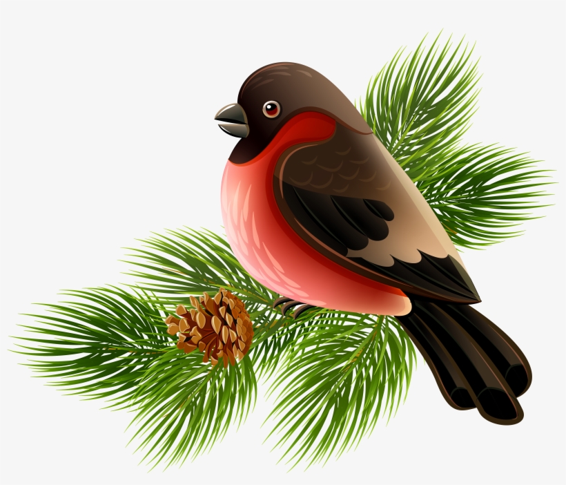 Bird Clip Art - Bird On Branch Png, transparent png #34722