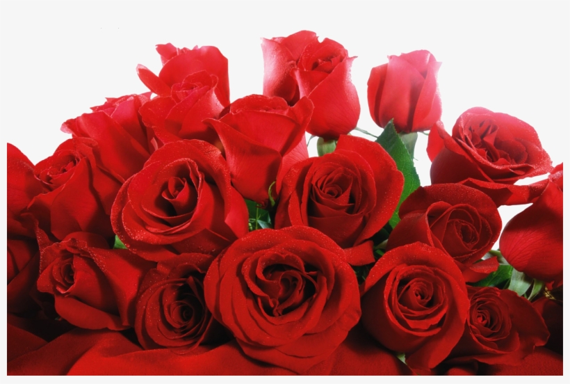 Image - Bunch Of Red Roses, transparent png #34980
