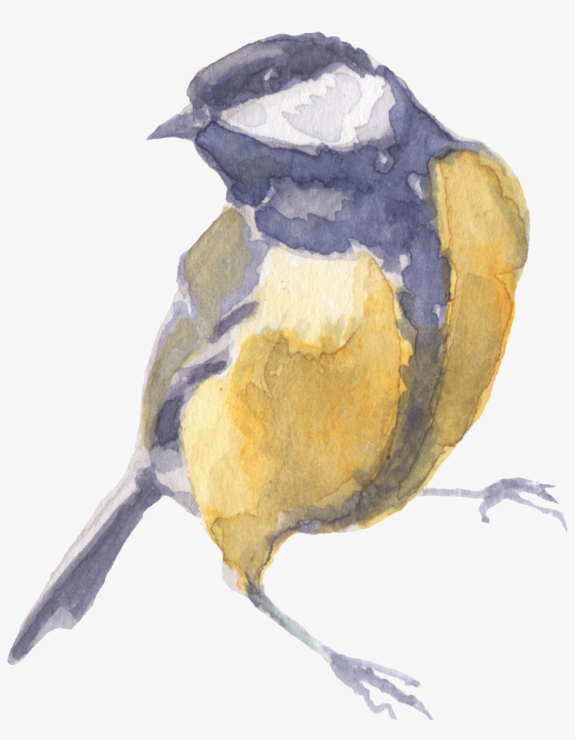 Watercolor Painting, transparent png #35083