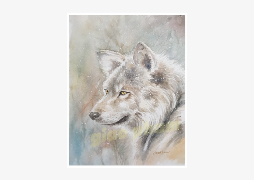 Wolf, transparent png #35131