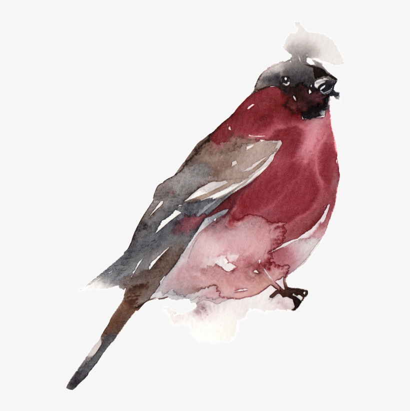 Creative Bird Water Ink Painting Transparent Watercolor - Watercolor Painting, transparent png #35319
