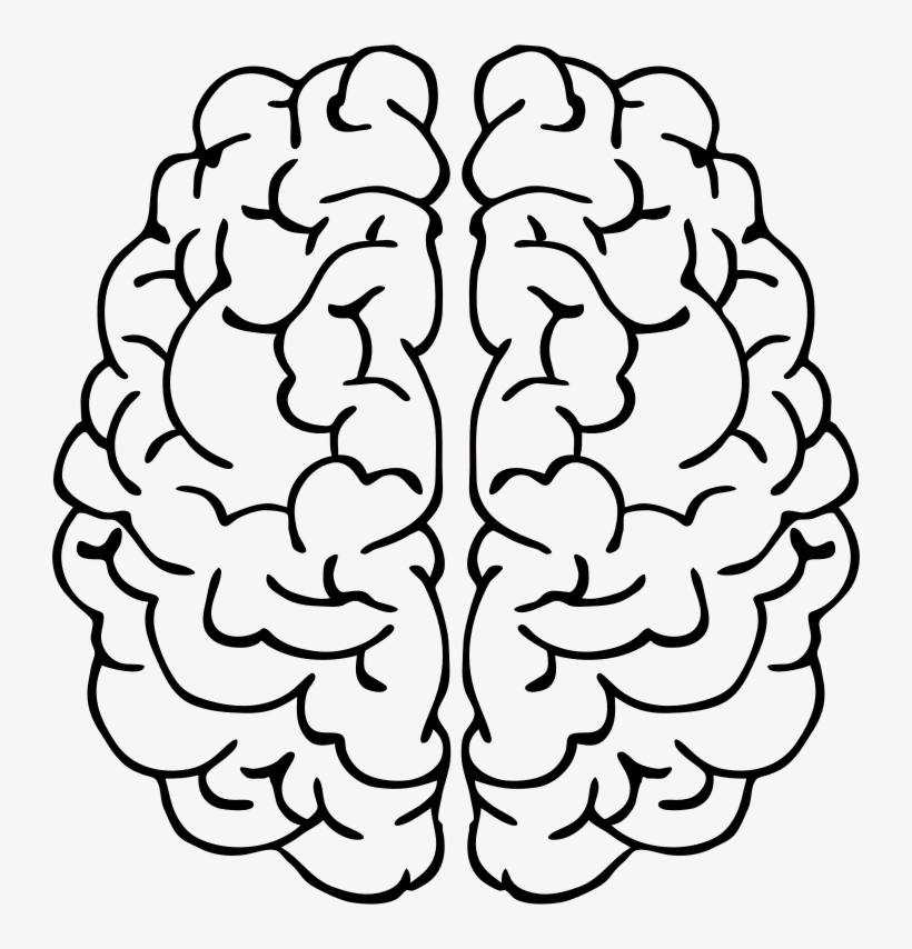 Clip Art Black And White Download Brain Line Drawing - Left Vs Right Brain Png, transparent png #35345