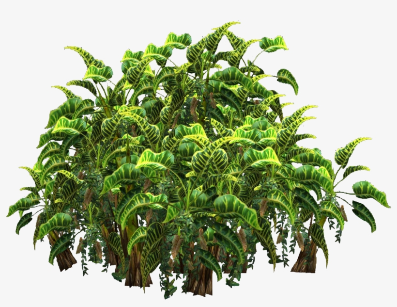 Free Icons Png - Tropical Plants Png, transparent png #35481