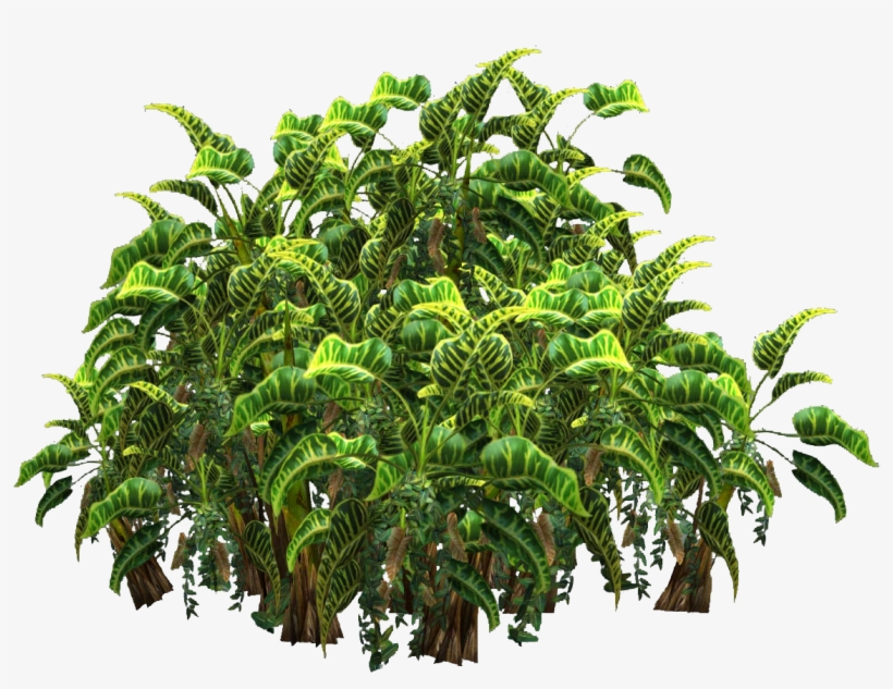 Featured image of post View 28 Tropical Plants Png Transparent