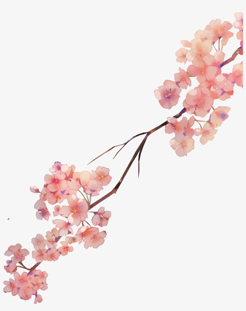 Sakura Flower Watercolor Petals Nature - Watercolor Painting, transparent png #35604