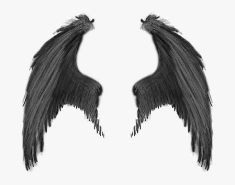 Realistic Demon Wings Png, transparent png #35653