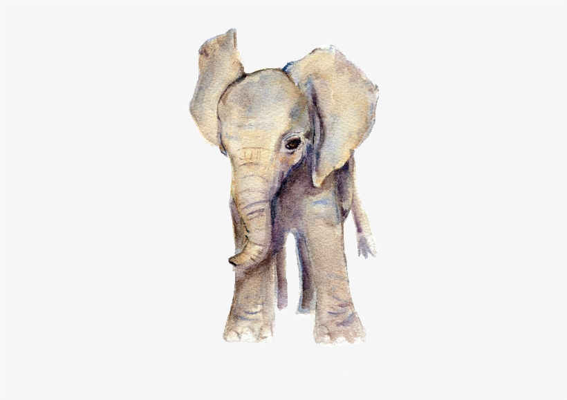 Download Elephant Watercolor Baby Elephant Drawing Elephant Png Elephant Free Transparent Png Download Pngkey