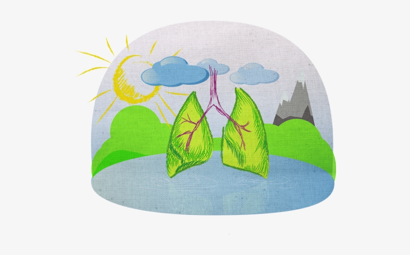 Combattere La Discinesia Ciliare Primaria - Illustration, transparent png #35887