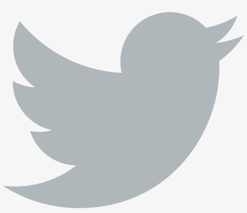 Transparent White Twitter Logo Download - Twitter Logo Vector Grey, transparent png #36051