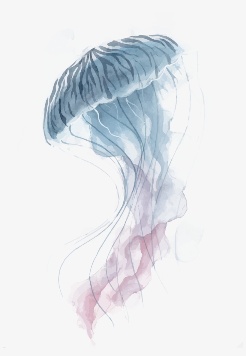 Jellyfish Watercolor Painting, transparent png #36123