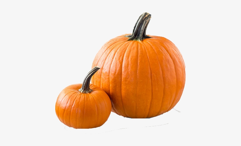 Pumpkin, transparent png #36568