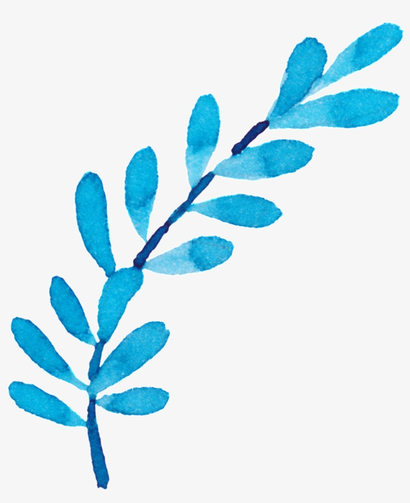 Kamera Mit Blau-blätter U. Schmetterlinge Danken Karte, transparent png #36590