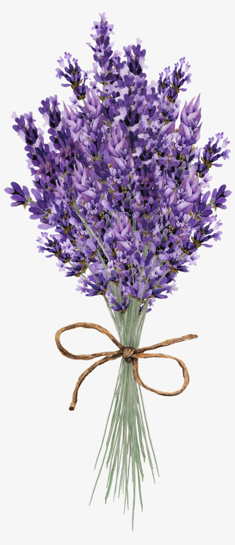 Pin By Teeshik On Декупаж - Flower, transparent png #36990