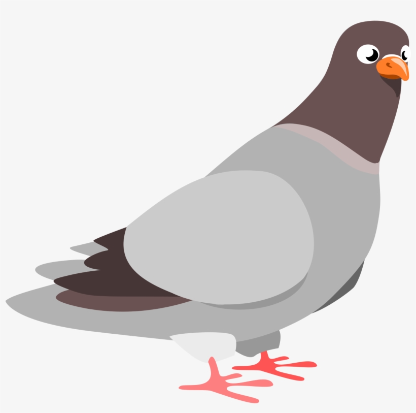 Pigeon Clipart, transparent png #37055
