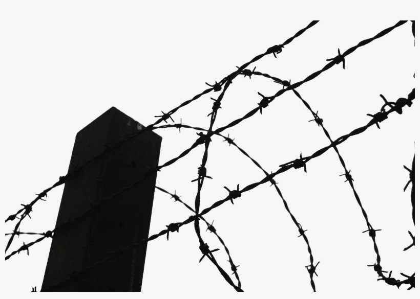 Barb Wire Clipart, transparent png #37253